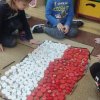 Mały Miś Polska
